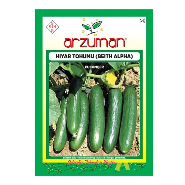 چطور خیار را در خاک به کمک آموزش سایت باغبان شو بکاریم 